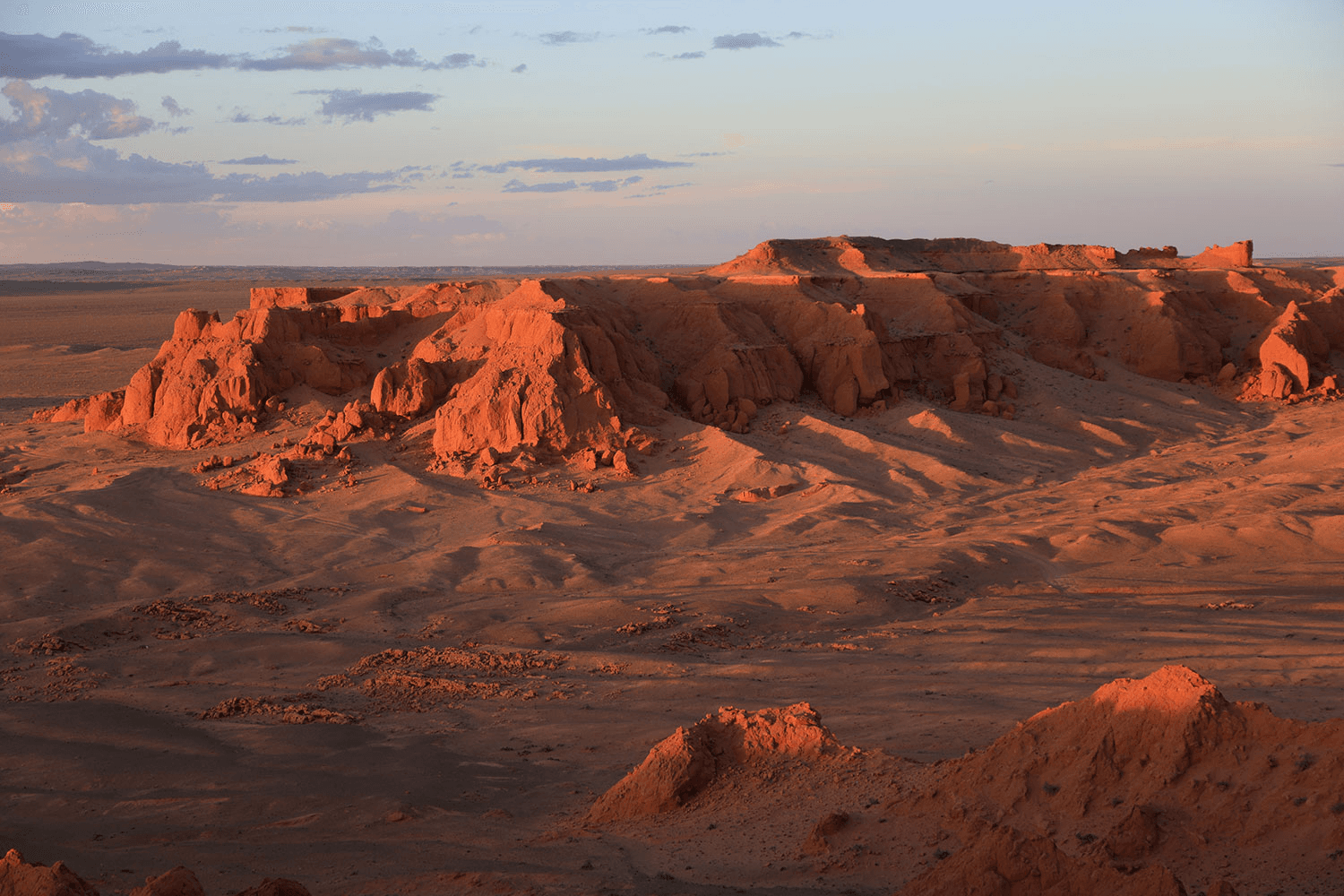 Gobi & Dino Dig